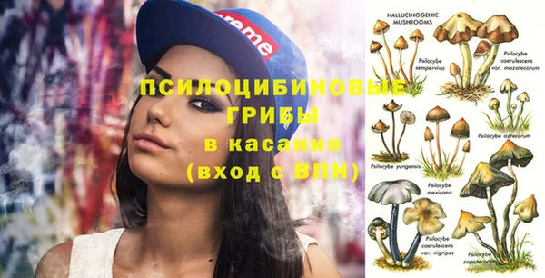 синтетический гашиш Алексеевка