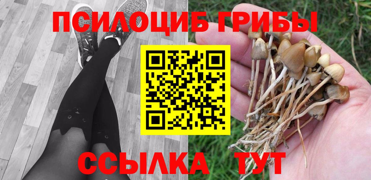 Псилоцибиновые грибы MAGIC MUSHROOMS  Галлюциногенные грибы Magic Shrooms  Махачкала  Вход с VPN 