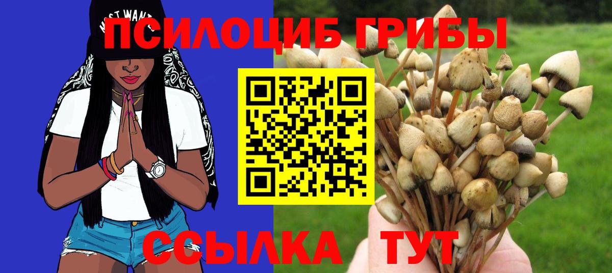 Псилоцибиновые грибы мицелий  Махачкала  Галлюциногенные грибы ЛСД 