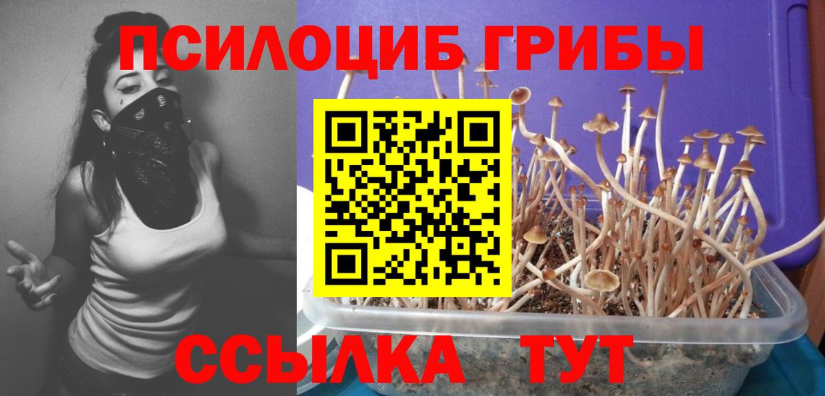 Псилоцибиновые грибы прущие грибы Махачкала